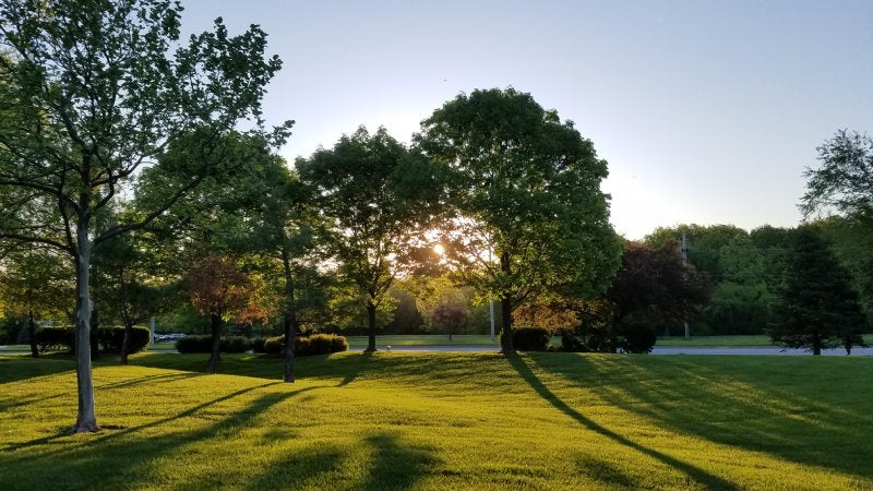 Trees on field against clear sky in Overland Park, Kansas